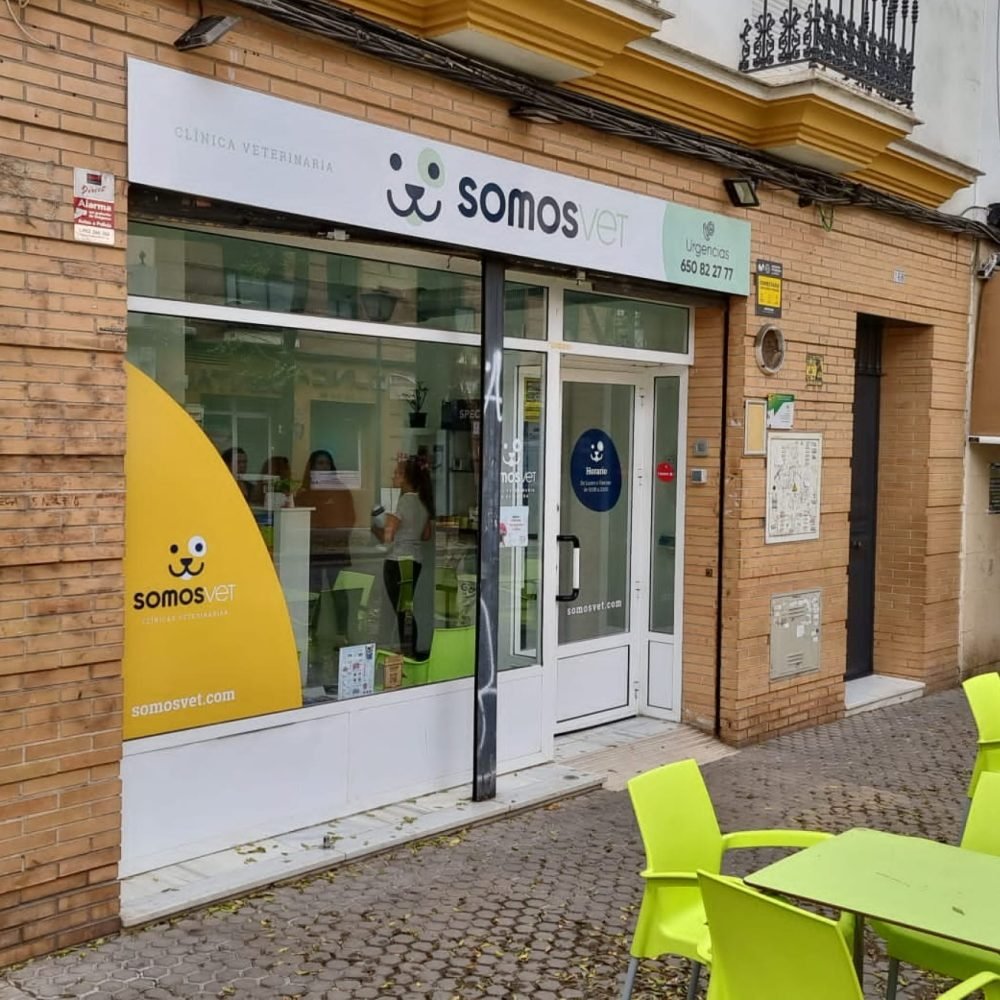 SomosVet Afán de Ribera en Sevilla