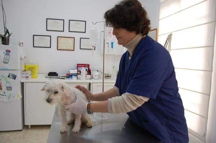 Centro Veterinario Triana en Sevilla