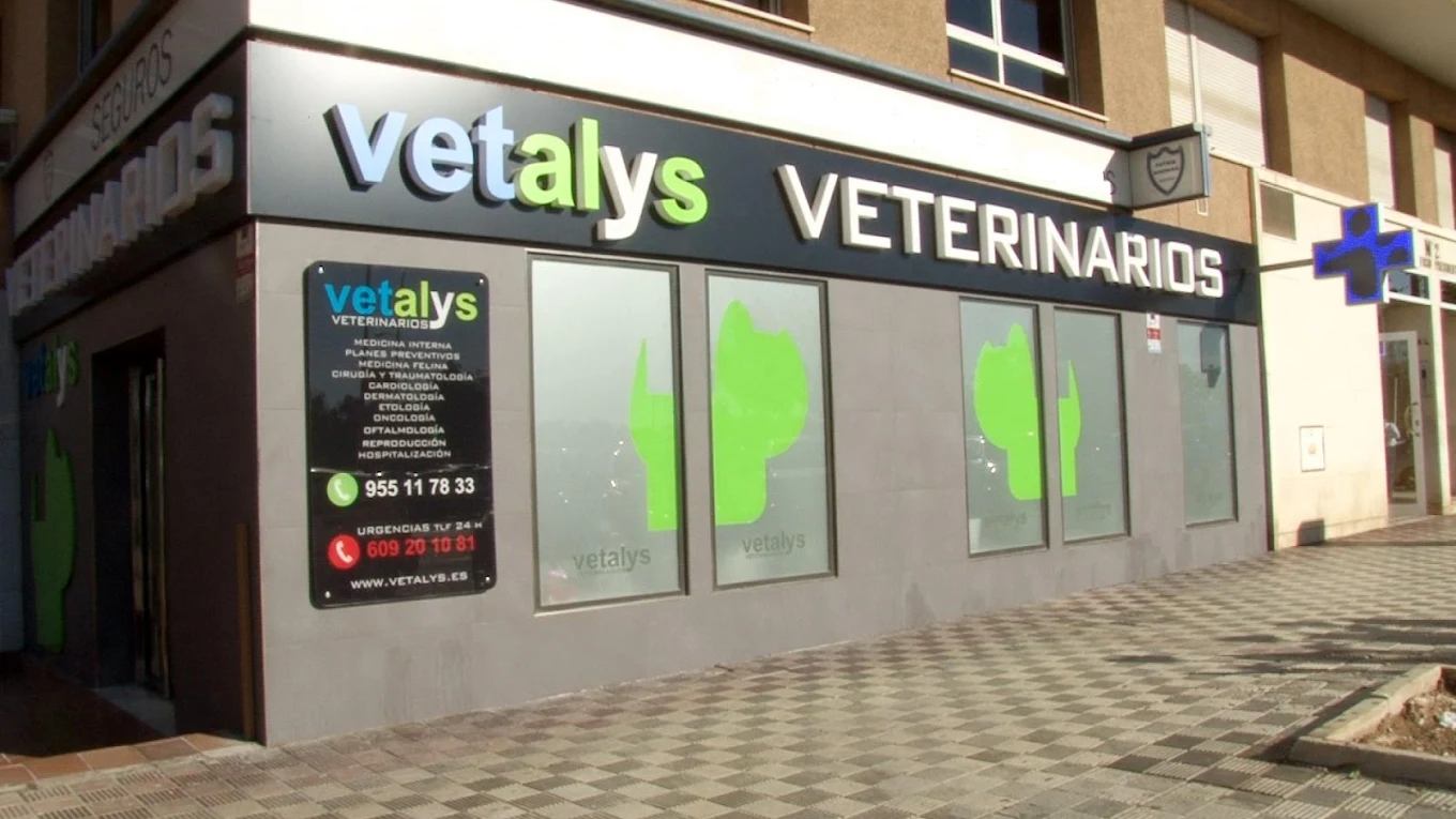 Vetalys Veterinarios Los Remedios en Sevilla