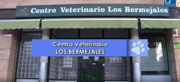Clínica Veterinaria Los Bermejales en Sevilla