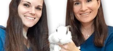 Clínica Veterinaria San Jacinto en Sevilla
