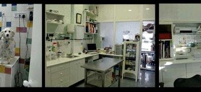 Clínica Veterinaria Los Corrales en Sevilla